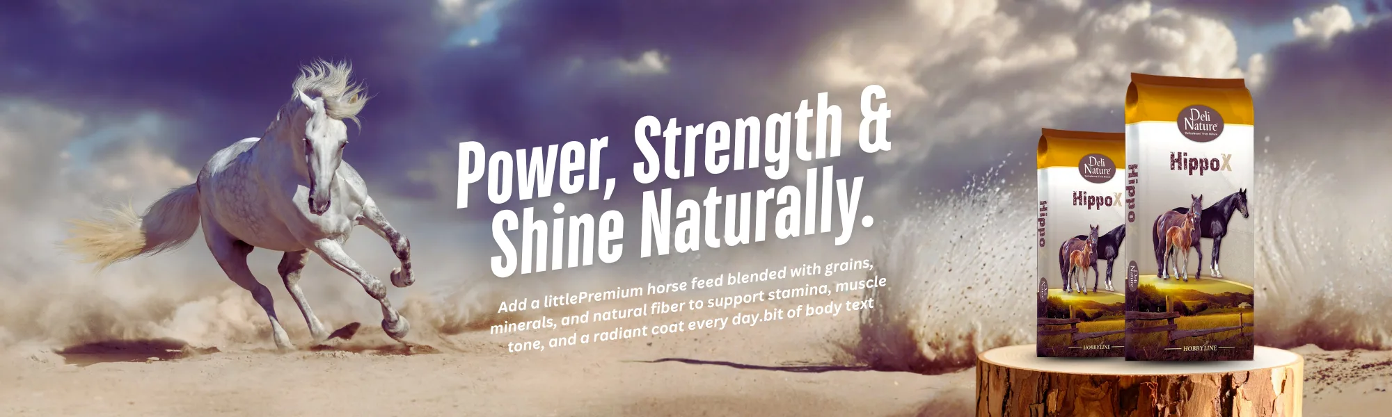 Copy of Web banner